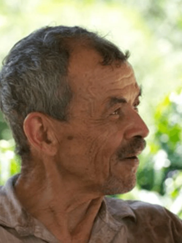 Bacarat. Café de Colombia - Image 4