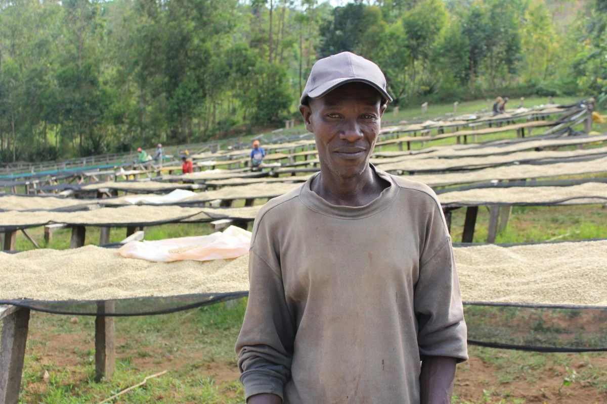 Café de Burundi. Nemba - Image 4