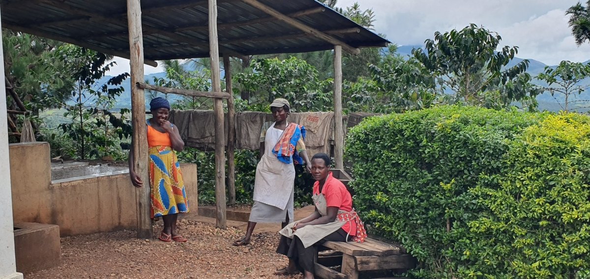 Café de Uganda. Kingha Collective - Image 15