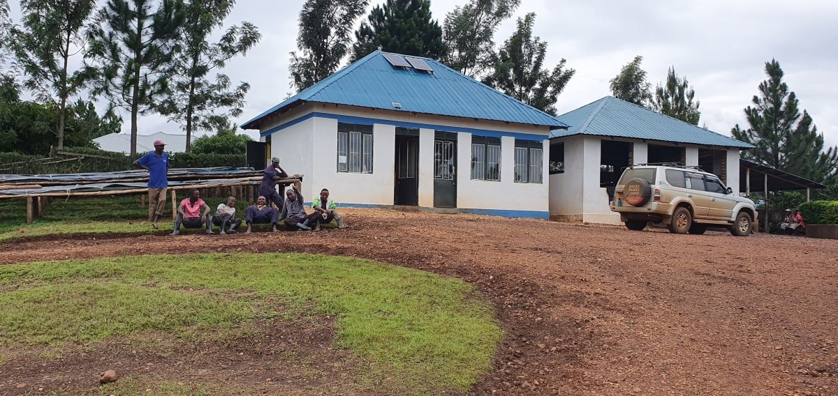 Café de Uganda. Kingha Collective - Image 4