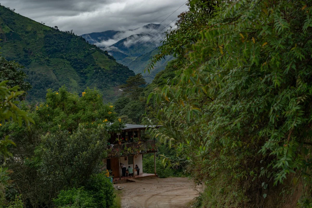 Café Descafeinado Sugar Cane de Colombia. La Fábrica - Image 4
