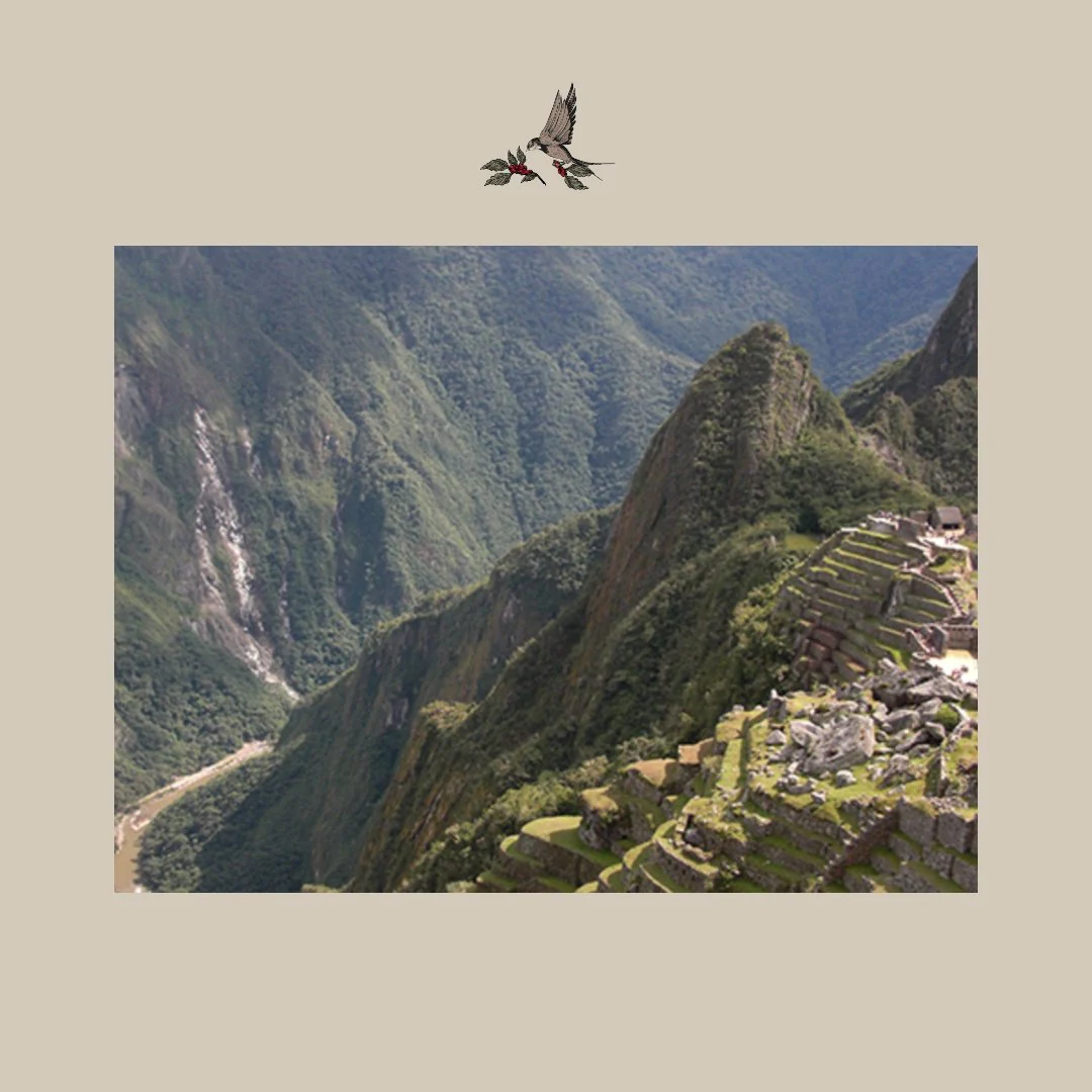 El Plátano. Perú - Image 3