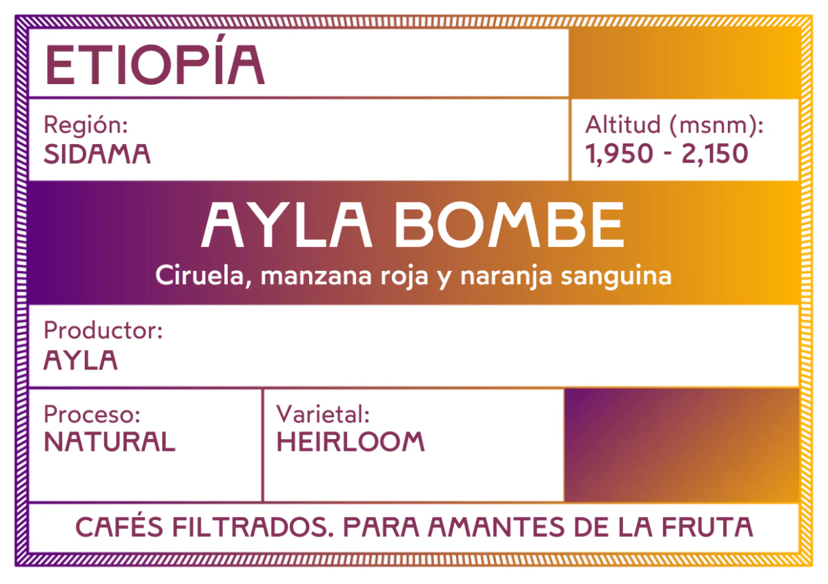 Etiopía Ayla Bombe B2B - Image 3