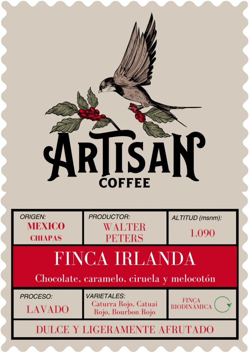 Finca Irlanda. Café de Méjico. Chiapas. Lavado