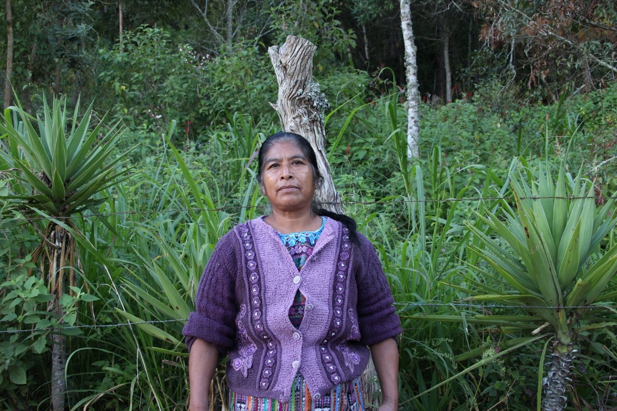 Fuerza de Mujer. Café de Guatemala. Lavado. - Image 4