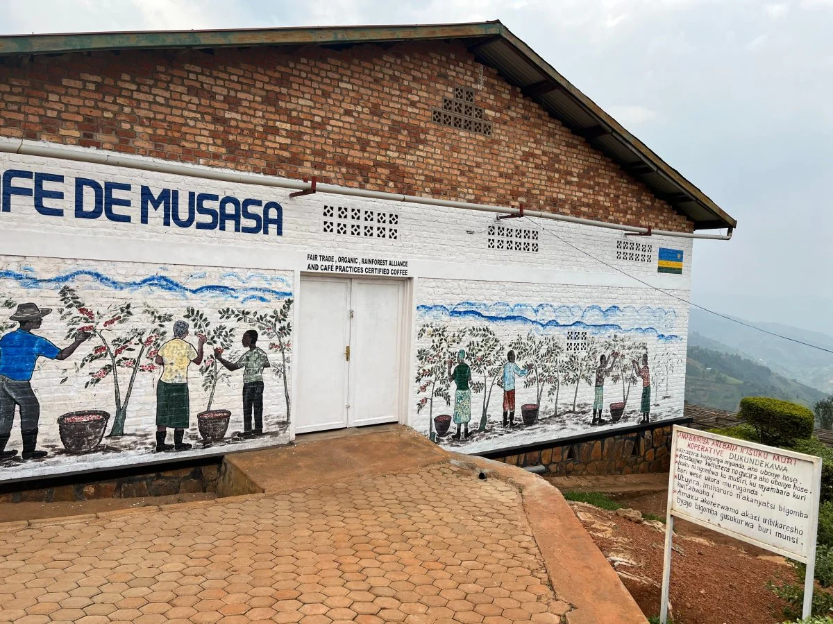 Mbilima. Café de Rwanda. Natural - Image 9