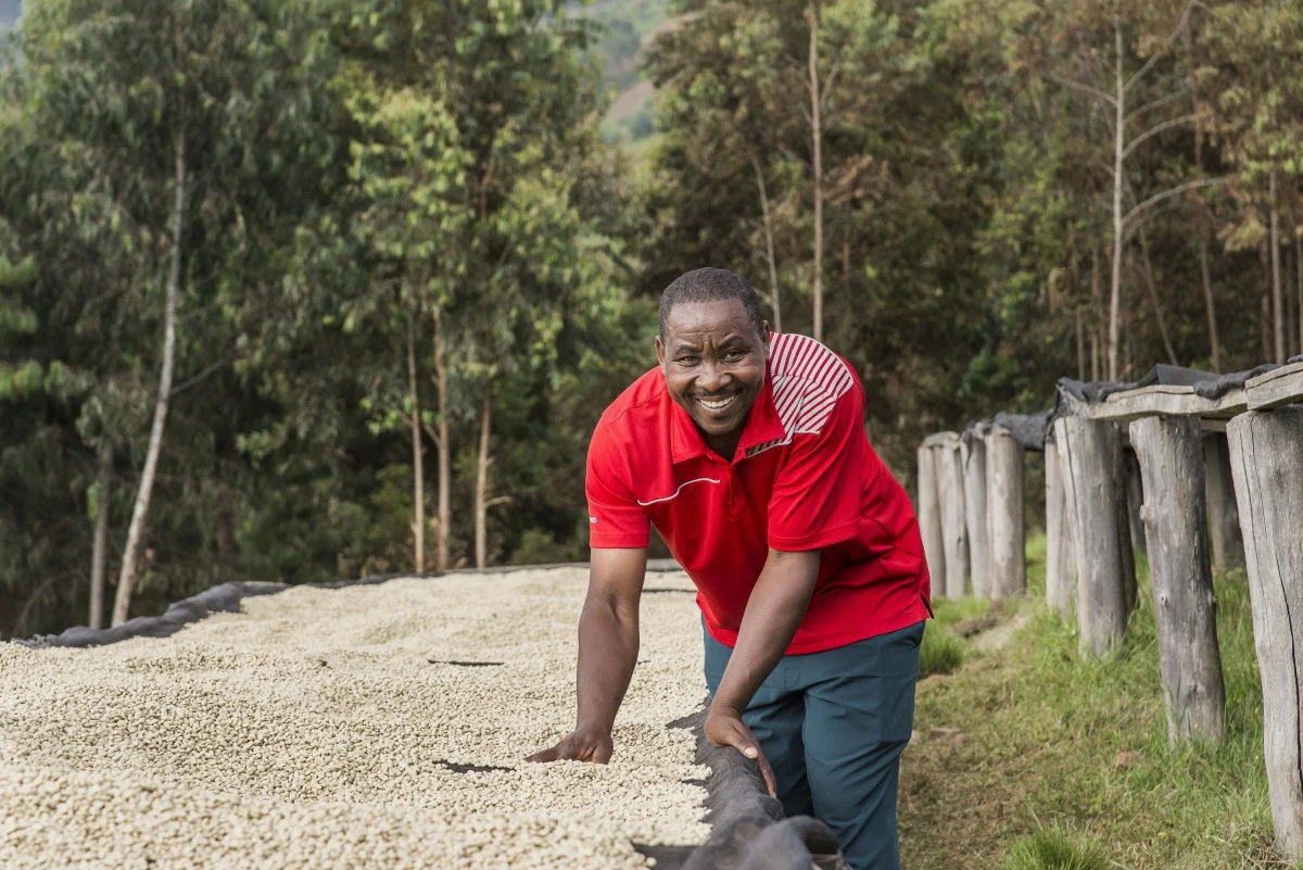 Gakenke. Café de Rwanda. Lavado - Image 6