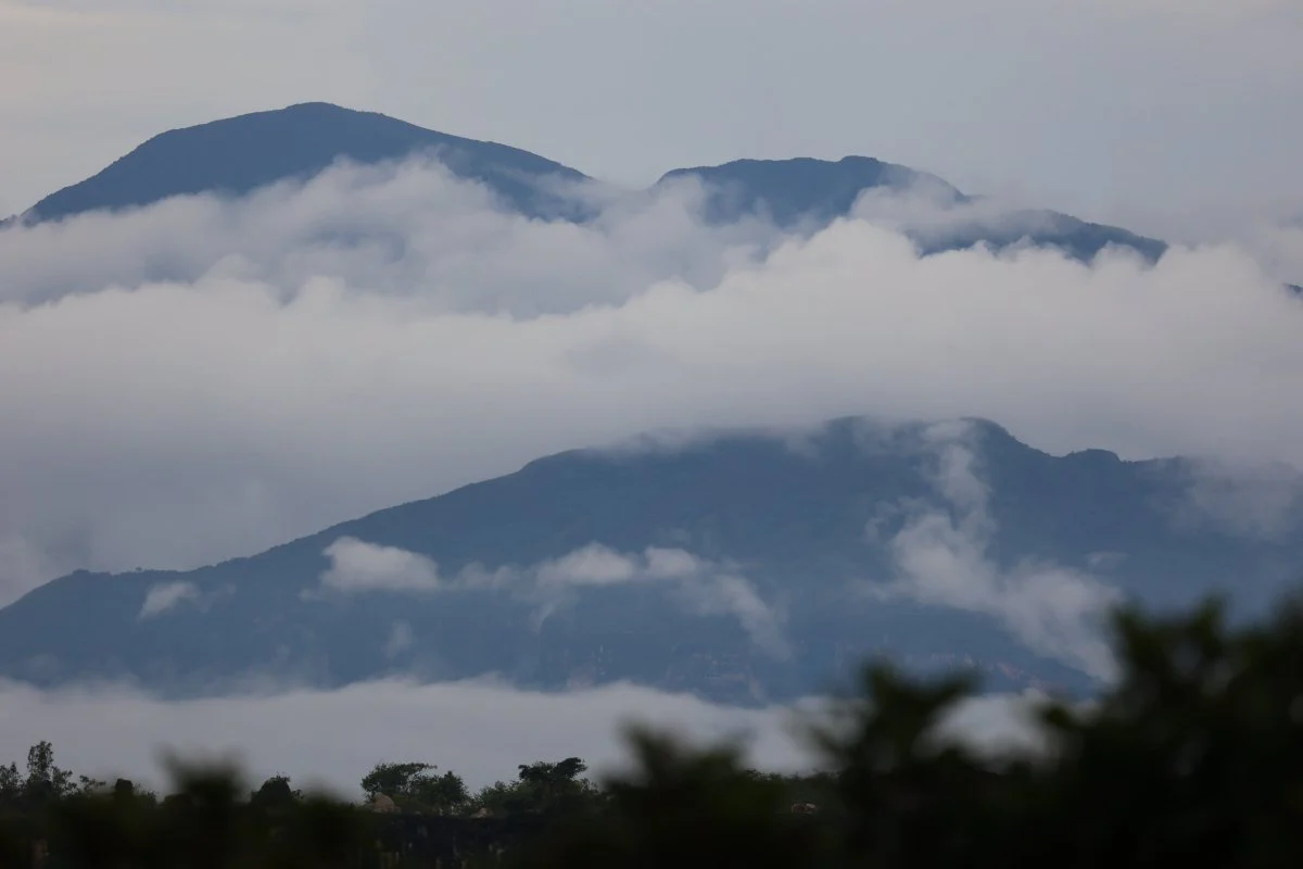 La Fabrica de nubes. Café de Colombia. Lavado - Image 2