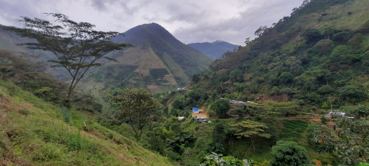 La Fabrica de nubes. Café de Colombia. Lavado - Image 4
