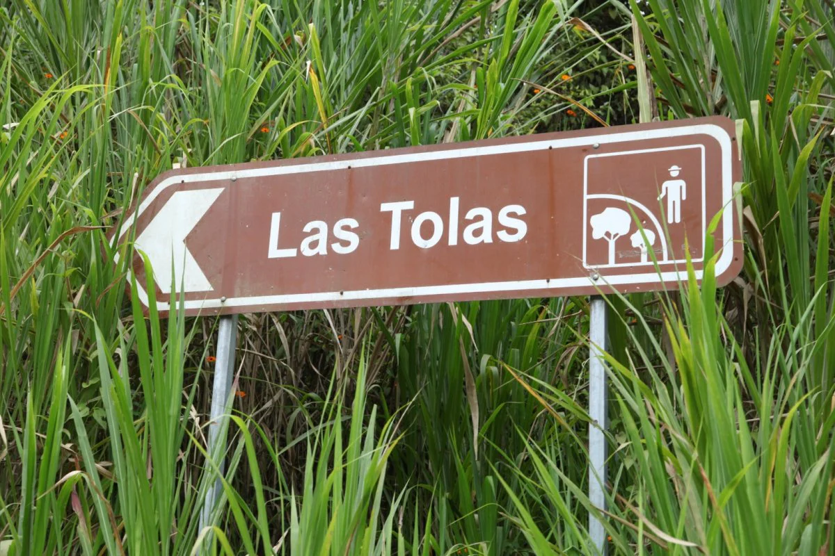 Las Tolas. Café de Ecuador. Fermentación Carbónica - Image 7