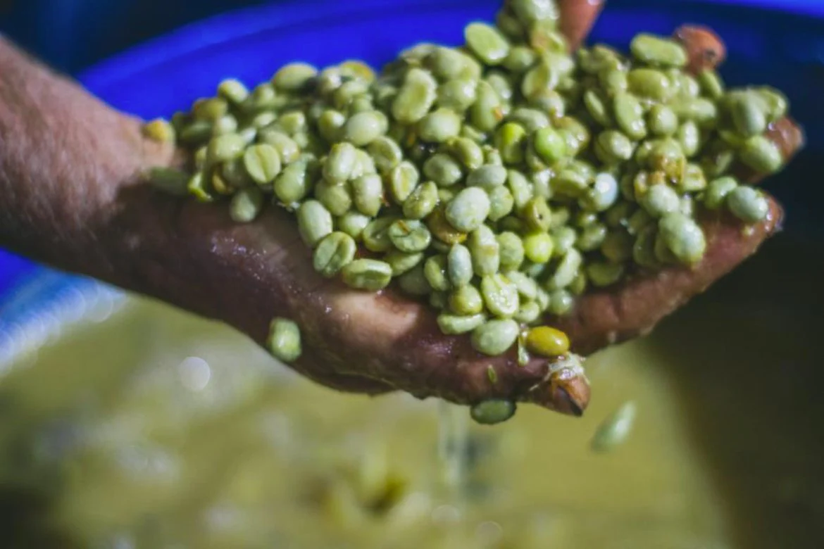 Fruta de la Pasión. Monteblanco. Café de Colombia. Cofermentado - Image 7