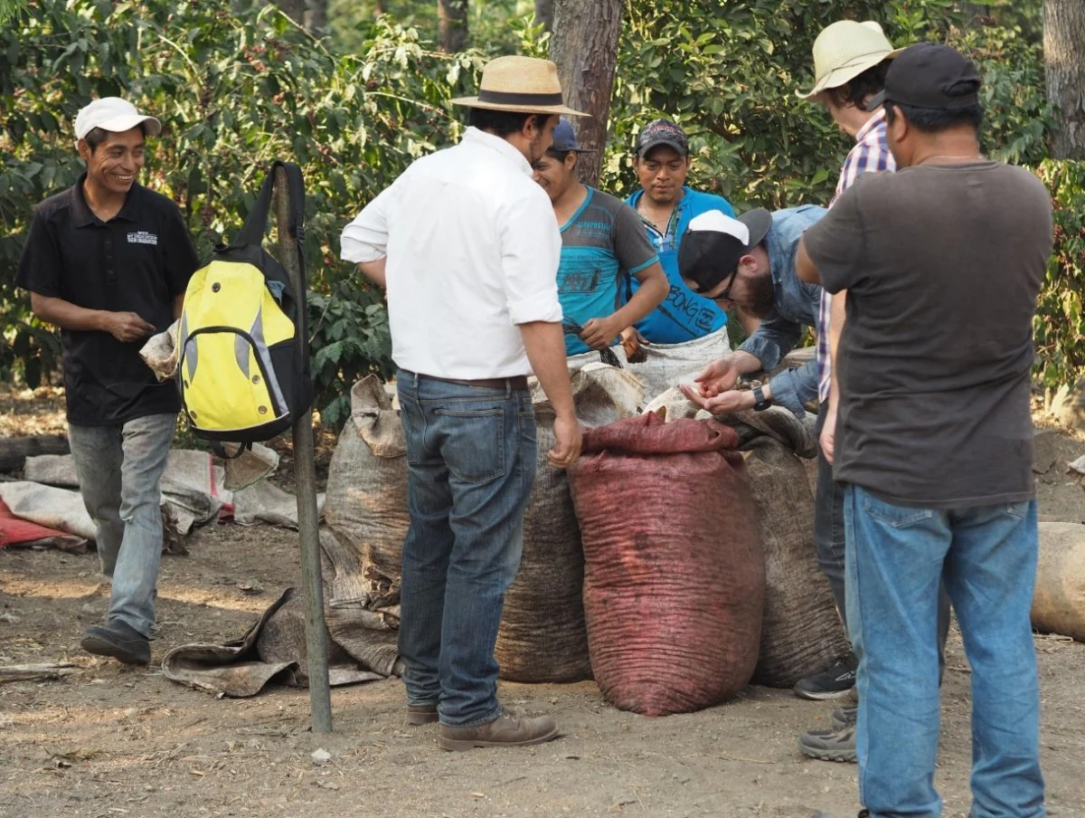 San Carlos. Café de Guatemala - Image 4