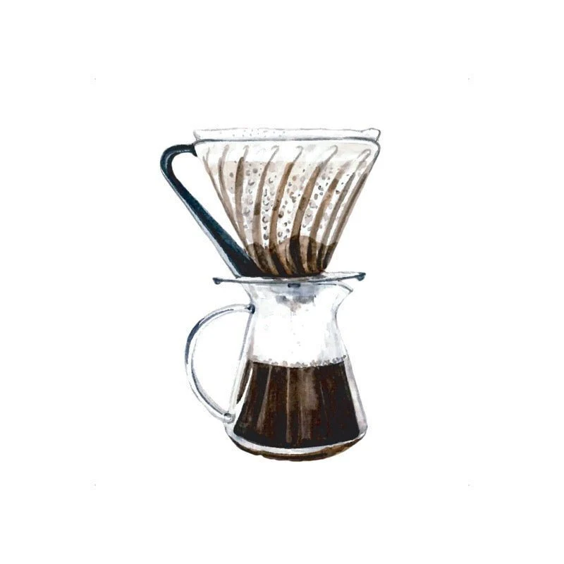 Suscripción Mensual de Café para los amantes de los cafés más afrutados y con cierta acidez. Prepago. 15% DESCUENTO - Image 8