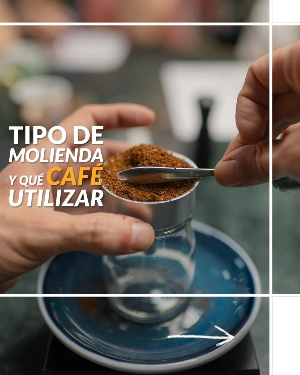 Taller básico de Latteart en casa. Consigue un capuccino perfecto con la prensa francesa y la moka - Image 3