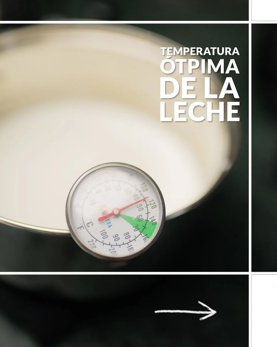 Taller básico de Latteart en casa. Consigue un capuccino perfecto con la prensa francesa y la moka - Image 5