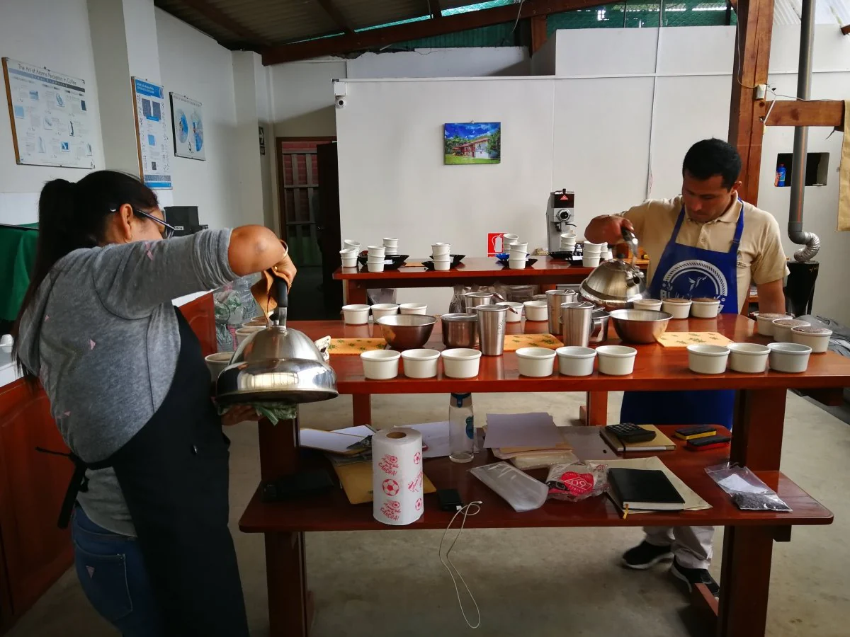Timbuyacu. Café de Perú - Image 3
