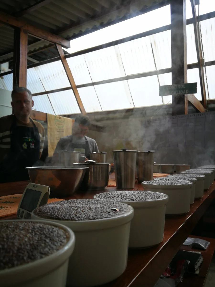 Timbuyacu. Café de Perú - Image 4